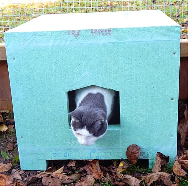 STYROPOR Kisten gesucht