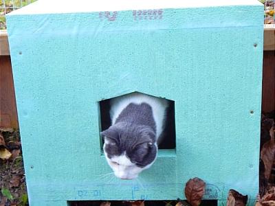 STYROFOAM crates wanted