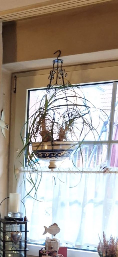 Looking for a ceramic hanging planter, see picture