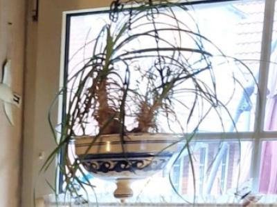 Suche Blumenampel aus Keramik siehe Bild