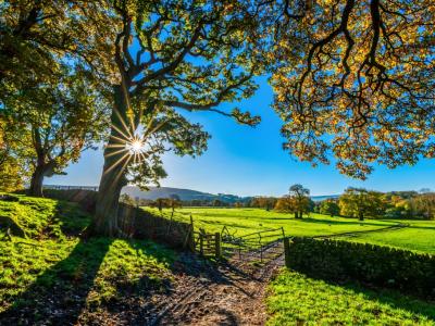 Suche eingezäuntes Grundstück