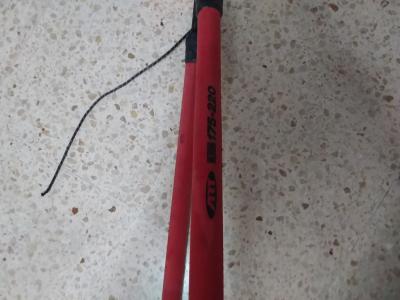 Surfgabelbaum zu verkaufen