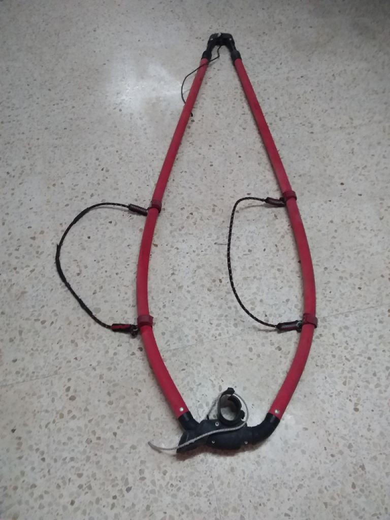 Surfgabelbaum zu verkaufen