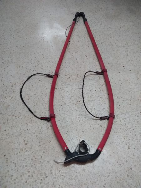 Surfgabelbaum zu verkaufen