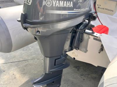 Tender/Dinghy Zodiac 260 Rip mit Yamaha Motor 9.9 PS