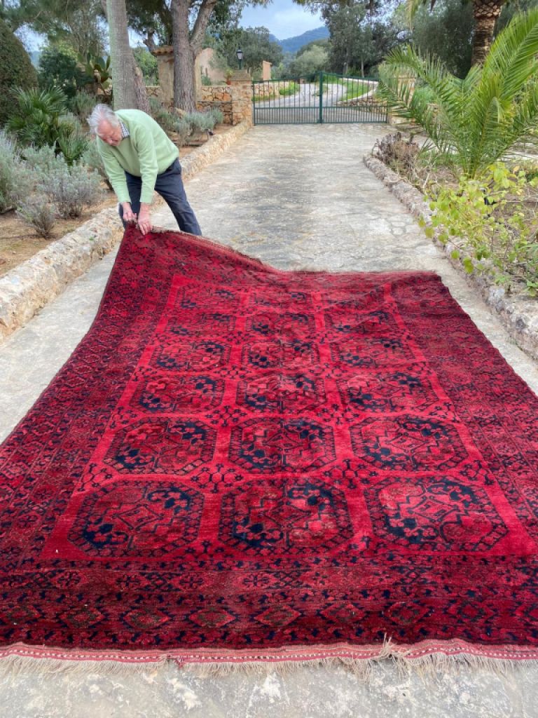 Red/dark blue carpet