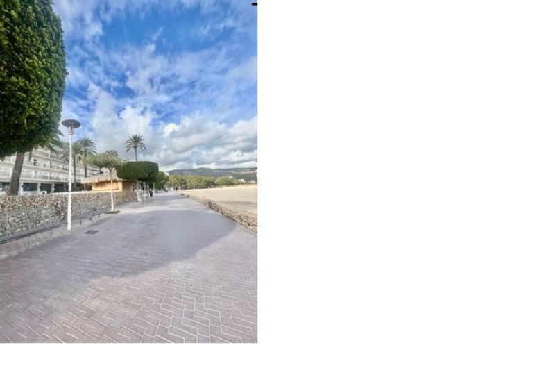 Terrenova - Renovated apartment on the seafront.