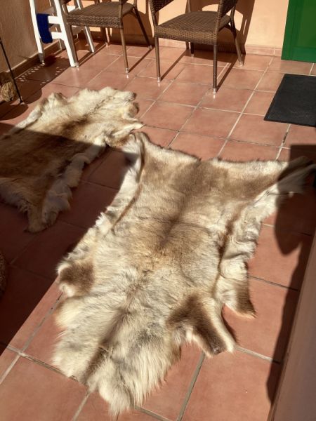 Tierfell, Echthaar, Rentierfell, Winterfell, Dekofell, Stuhlfell, Wanddeko, Holzbankauflage