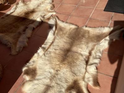 Tierfell, Echthaar, Rentierfell, Winterfell, Dekofell, Stuhlfell, Wanddeko, Holzbankauflage