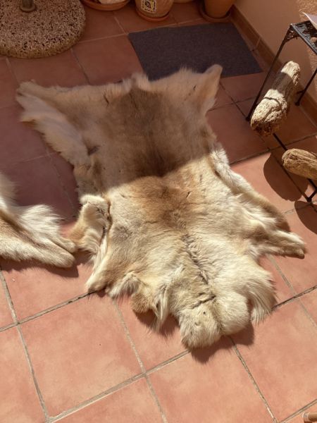 Tierfell, Echthaar, Rentierfell, Winterfell, Dekofell, Stuhlfell, Wanddeko, Holzbankauflage