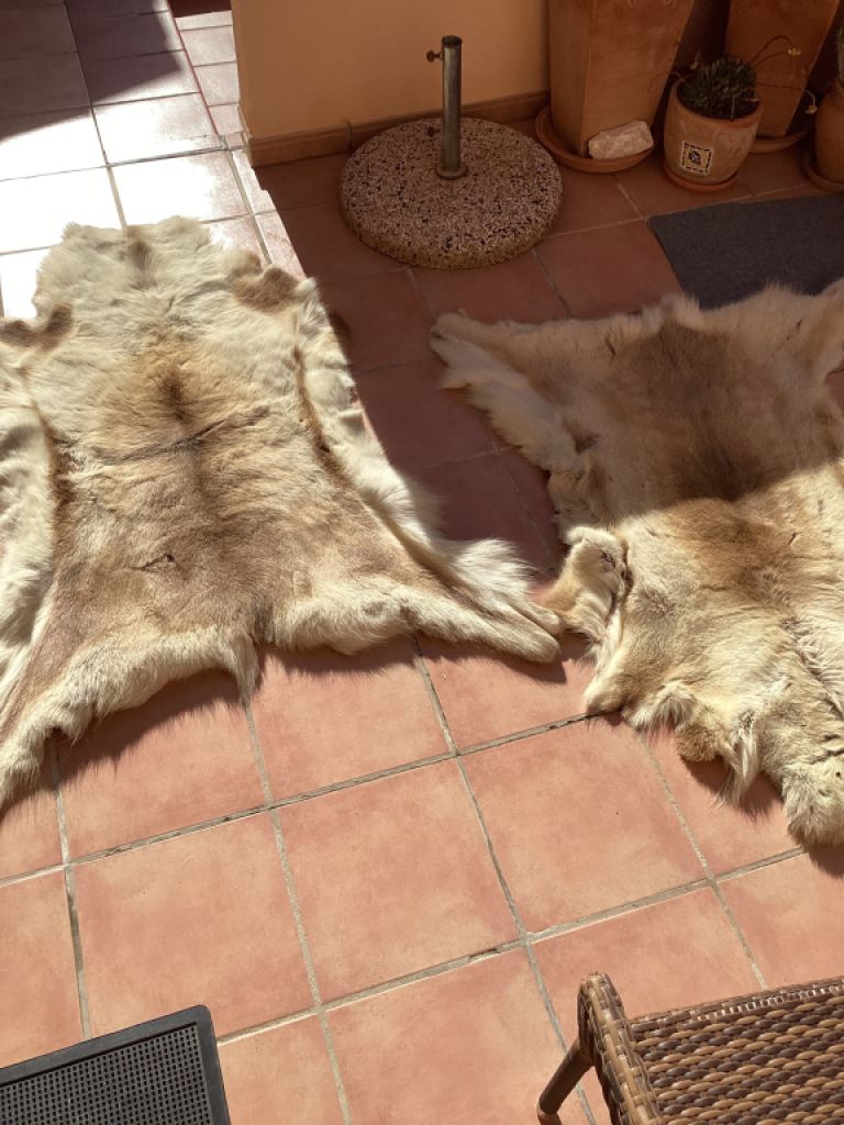 Tierfell, Echthaar, Rentierfell, Winterfell, Dekofell, Stuhlfell, Wanddeko, Holzbankauflage