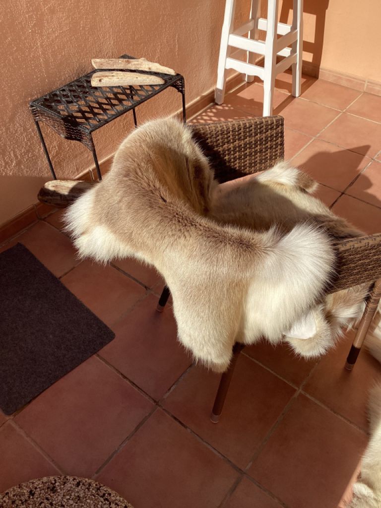 Tierfell, Echthaar, Rentierfell, Winterfell, Dekofell, Stuhlfell, Wanddeko, Holzbankauflage