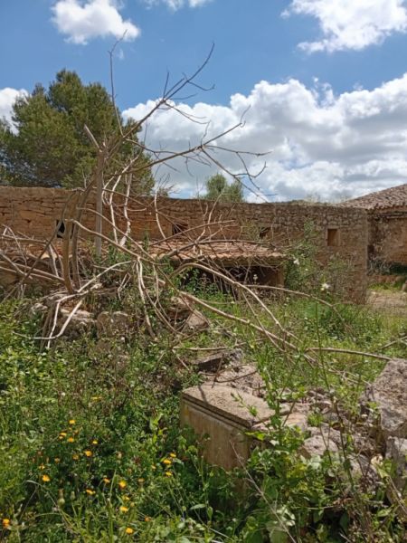 Top Gelegenheit Sant Lorenzo Grosse Finca zu Verkaufen 394.700m2 Grundstück