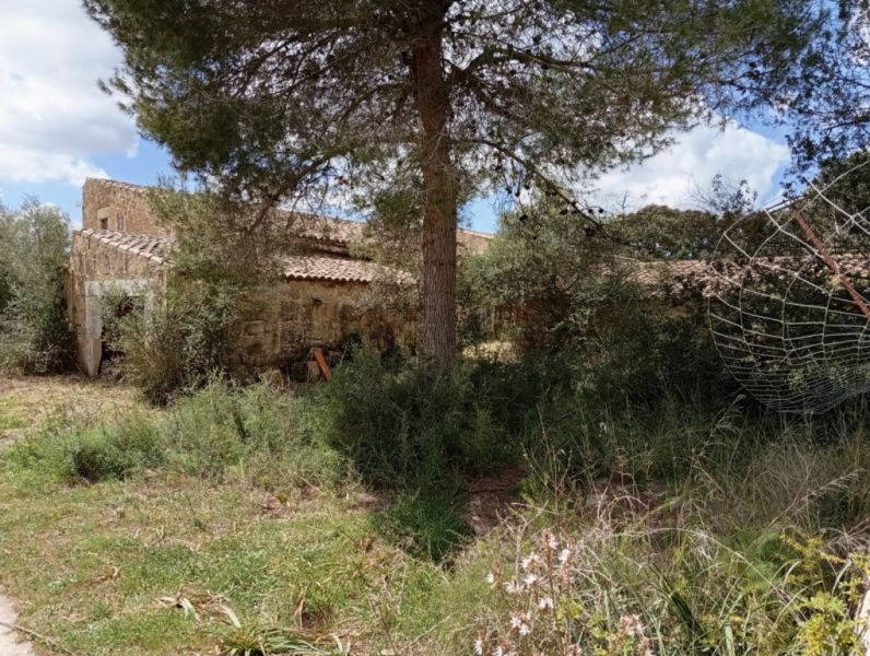 Top Gelegenheit Sant Lorenzo Grosse Finca zu Verkaufen 394.700m2 Grundstück