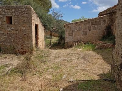 Top Gelegenheit Sant Lorenzo Grosse Finca zu Verkaufen 394.700m2 Grundstück