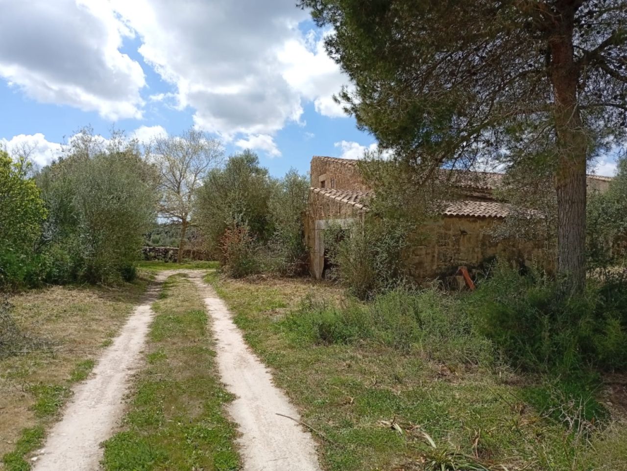 Top Gelegenheit Sant Lorenzo Grosse Finca zu Verkaufen 394.700m2 Grundstück