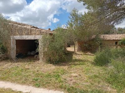 Top Gelegenheit Sant Lorenzo Grosse Finca zu Verkaufen 394.700m2 Grundstück