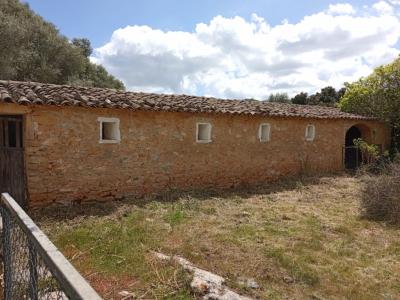 Top Gelegenheit Sant Lorenzo Grosse Finca zu Verkaufen 394.700m2 Grundstück