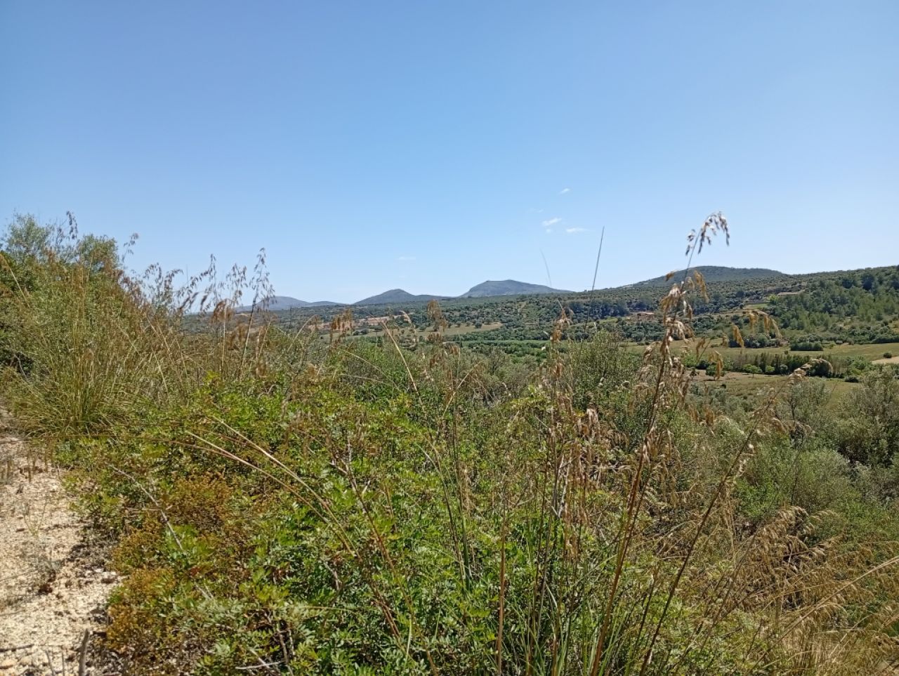 Top Kleine Finca mit traumhafter Aussicht und Ruhe