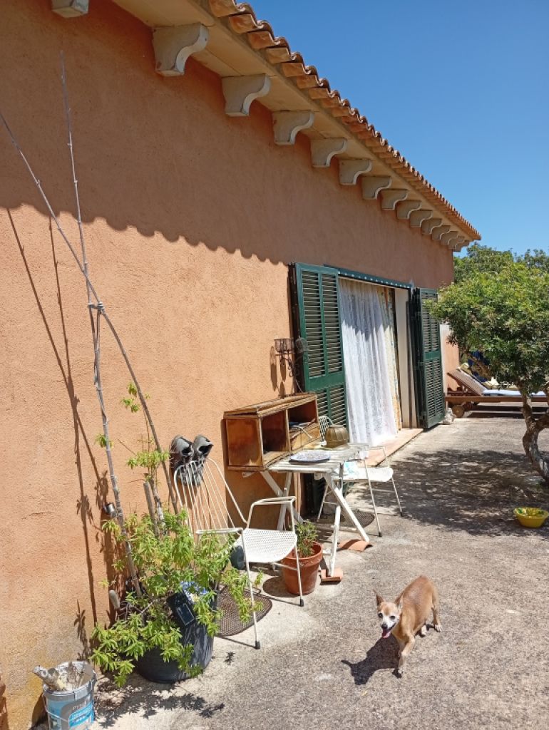 Top Kleine Finca mit traumhafter Aussicht und Ruhe