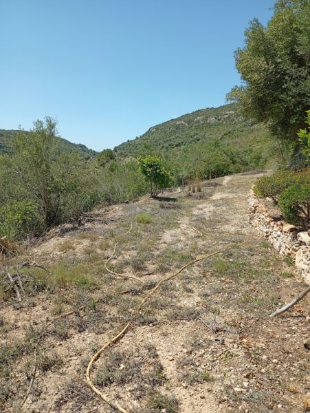 Top Kleine Finca mit traumhafter Aussicht und Ruhe