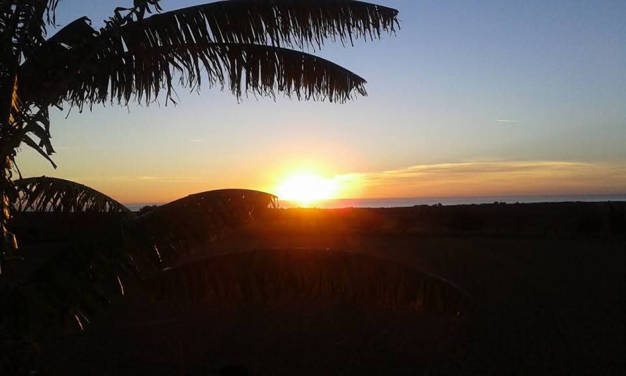 Top Lage cerca te Porto Cristo schöne Finca zu Verkaufen