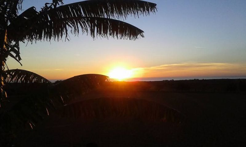 Top Lage cerca te Porto Cristo schöne Finca zu Verkaufen