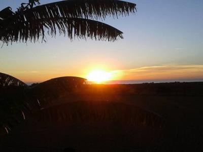 Top Lage cerca te Porto Cristo schöne Finca zu Verkaufen