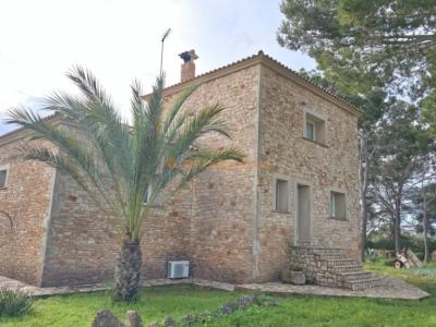 Top Lage Nähe cala sa Nou Finca zur Langzeit Miete