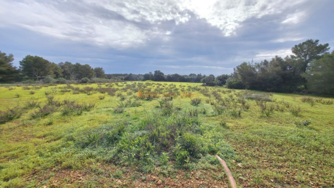Top Lage Nähe cala sa Nou Finca zur Langzeit Miete
