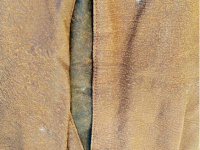 Trachtenmode Lederjacke, Leder-Sakko von Alphorn Trachtenmode