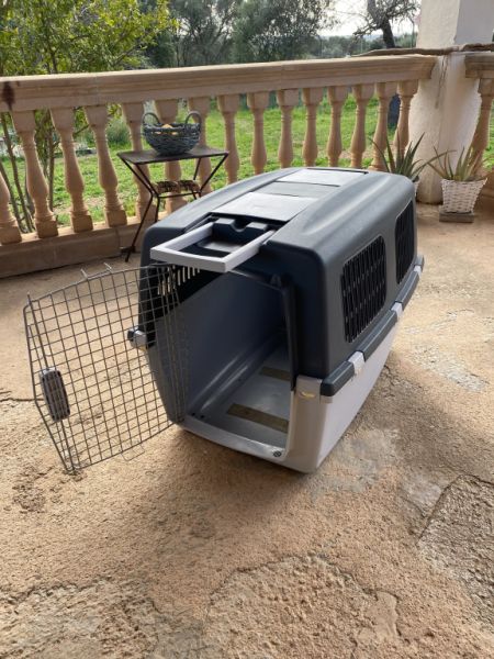Transportbox mittelgrosser Hund