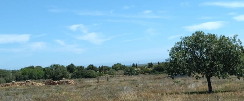 Parcela de ensueño con vista panorámica al mar con licencia de obra