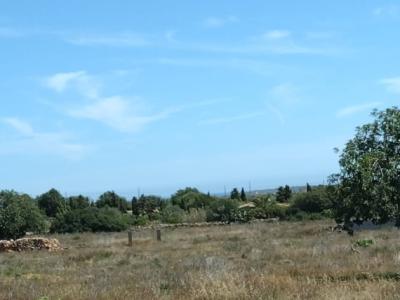 Parcela de ensueño con vista panorámica al mar con licencia de obra