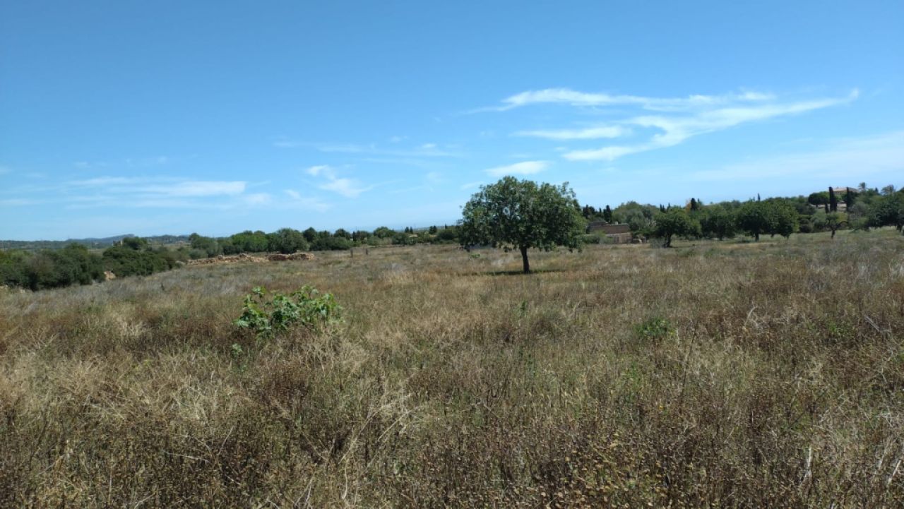 Parcela de ensueño con vista panorámica al mar con licencia de obra