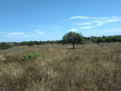 Parcela de ensueño con vista panorámica al mar con licencia de obra