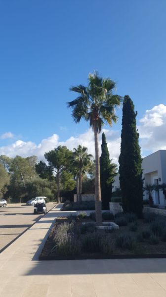 Traum Neubau Doppelhaus Hälfte in Sa Cabaneta unweit des Golfplatz