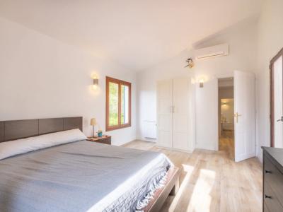 Dream finca for long-term rental