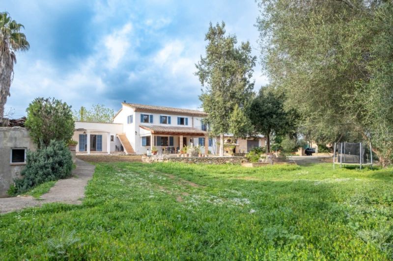 Dream finca for long-term rental