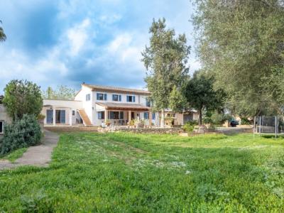 Dream finca for long-term rental