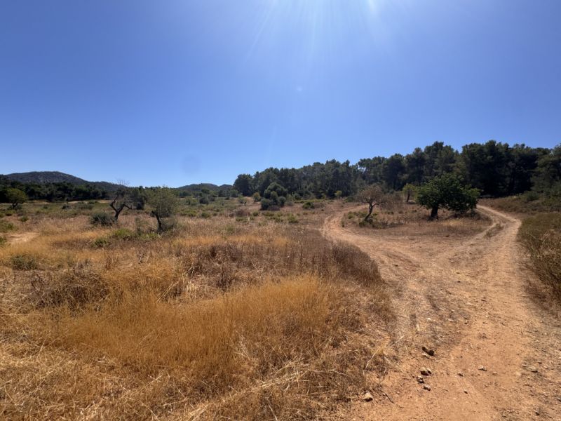 Traumgrundstück mit Basisprojekt inmitten der Natur bei Es Carrixto- Felanitx