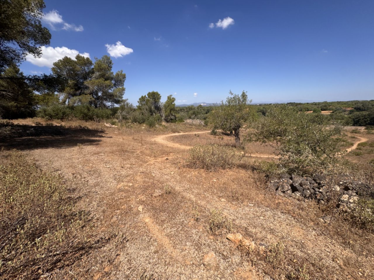 Traumgrundstück mit Basisprojekt inmitten der Natur bei Es Carrixto- Felanitx