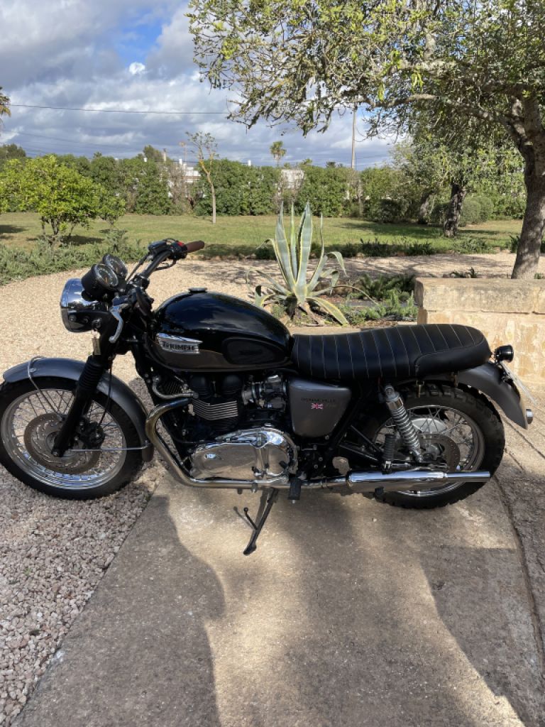 Triumph Bonneville T100, wie neu, Top !