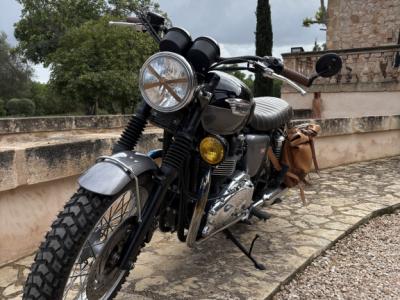 Triumph Bonneville T100, wie neu, Top !