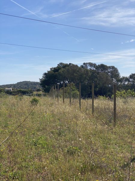 fencing enclosure of farms