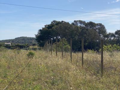 fencing enclosure of farms