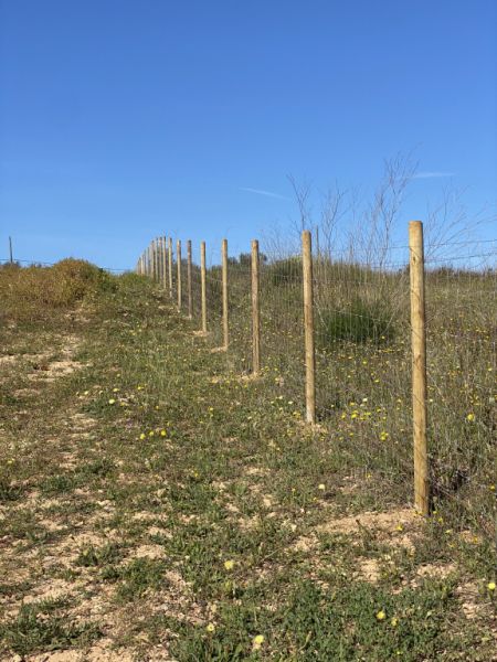 fencing enclosure of farms