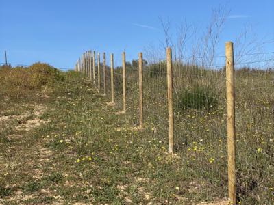fencing enclosure of farms