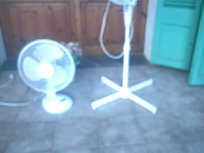 Fans of various types, €5 each