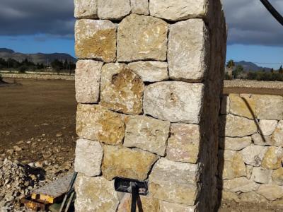 Verfassungsreformen Stein